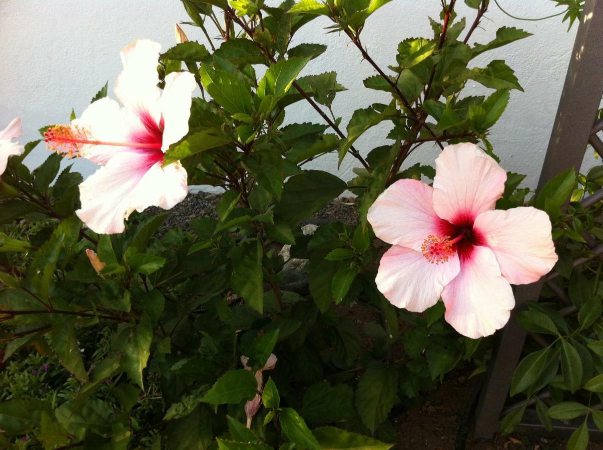 Bungalow La Datura El Paso Kültér fotó